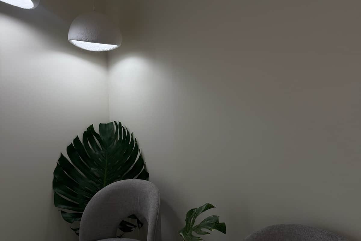 Estudio de Vibes Esthetic